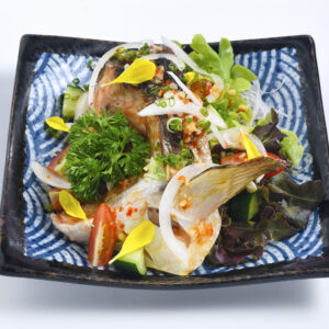Salmon-Kama-Tataki